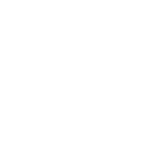 Medien Circus